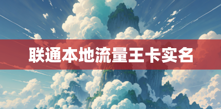 联通本地流量王卡实名