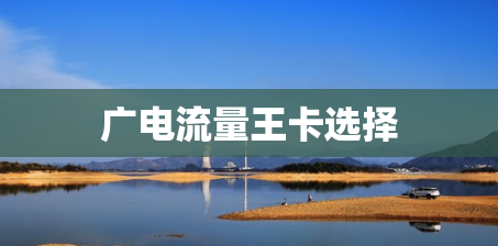 广电流量王卡选择