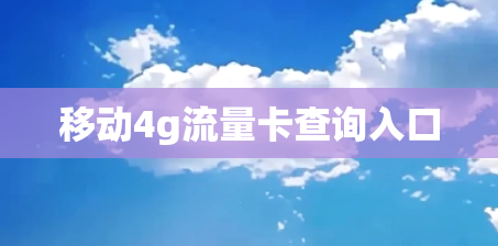 移动4g流量卡查询入口