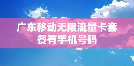 广东移动无限流量卡套餐有手机号码