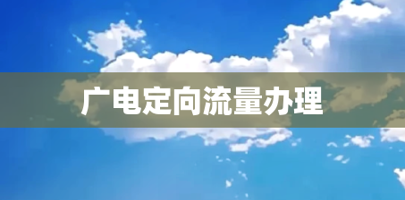 广电定向流量办理