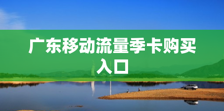 广东移动流量季卡购买入口