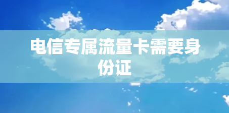 电信专属流量卡需要身份证