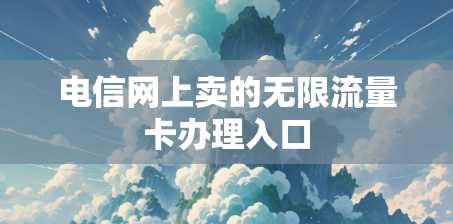 电信网上卖的无限流量卡办理入口