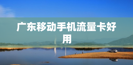 广东移动手机流量卡好用