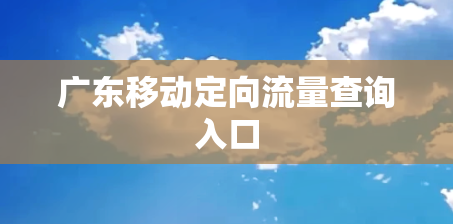 广东移动定向流量查询入口