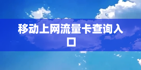 移动上网流量卡查询入口