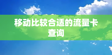 移动比较合适的流量卡查询