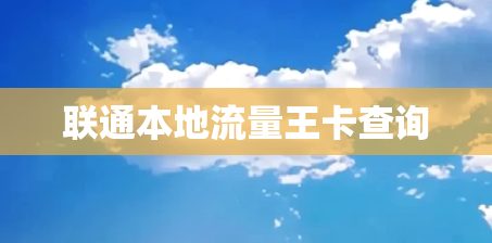联通本地流量王卡查询
