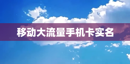 移动大流量手机卡实名