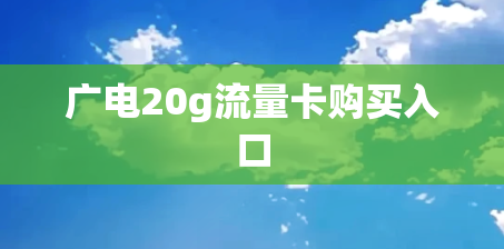 广电20g流量卡购买入口