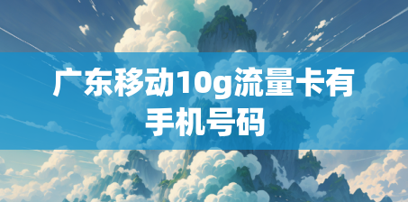广东移动10g流量卡有手机号码
