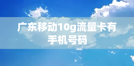 广东移动10g流量卡有手机号码