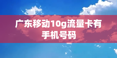 广东移动10g流量卡有手机号码