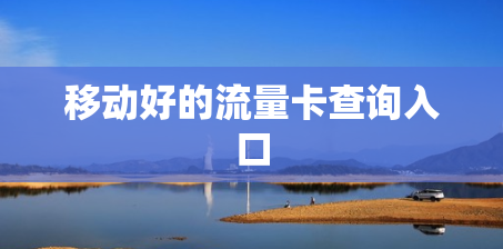 移动好的流量卡查询入口