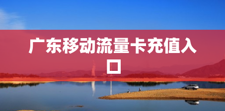 广东移动流量卡充值入口