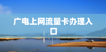 广电上网流量卡办理入口
