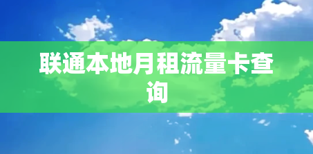 联通本地月租流量卡查询