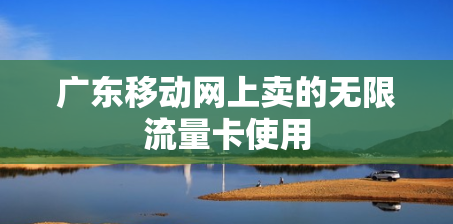 广东移动网上卖的无限流量卡使用