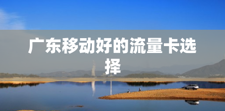 广东移动好的流量卡选择