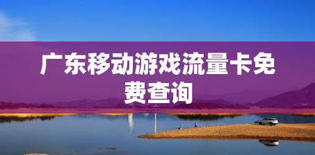 广东移动游戏流量卡免费查询