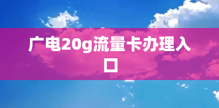 广电20g流量卡办理入口