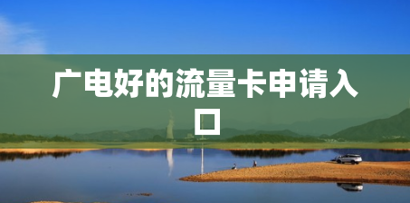 广电好的流量卡申请入口