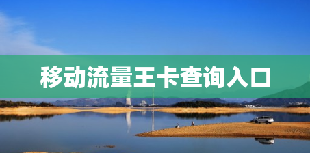 移动流量王卡查询入口