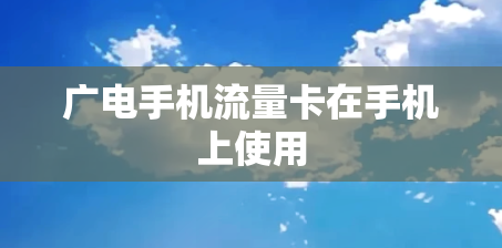 广电手机流量卡在手机上使用