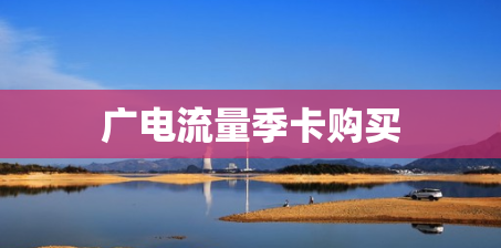广电流量季卡购买