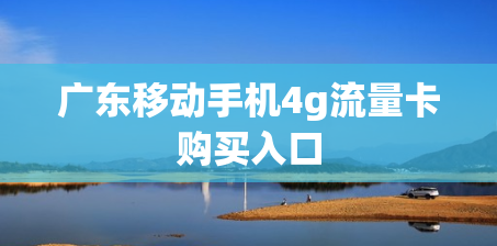 广东移动手机4g流量卡购买入口