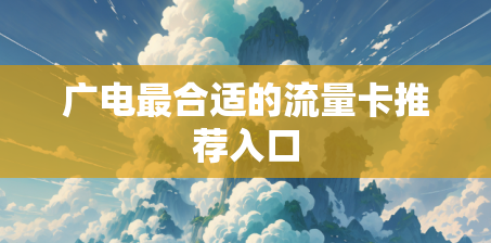 广电最合适的流量卡推荐入口