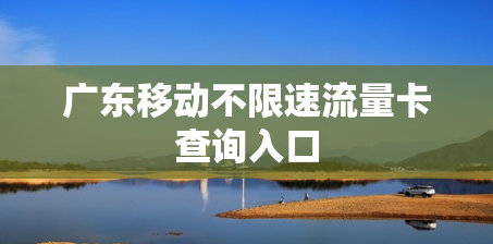 广东移动不限速流量卡查询入口