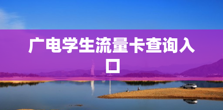 广电学生流量卡查询入口