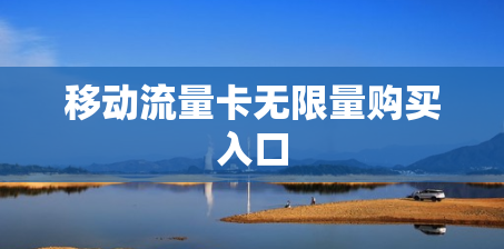 移动流量卡无限量购买入口