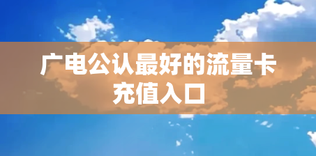 广电公认最好的流量卡充值入口