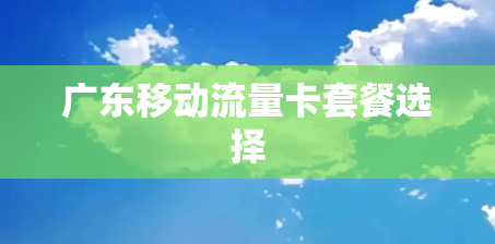 广东移动流量卡套餐选择