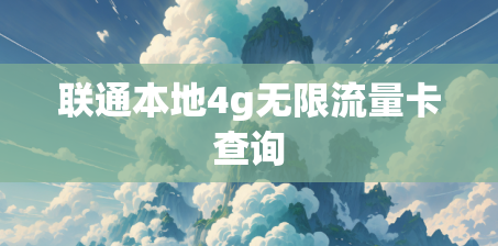 联通本地4g无限流量卡查询