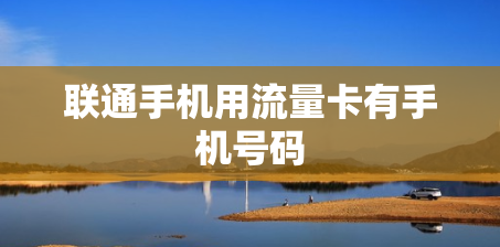 联通手机用流量卡有手机号码