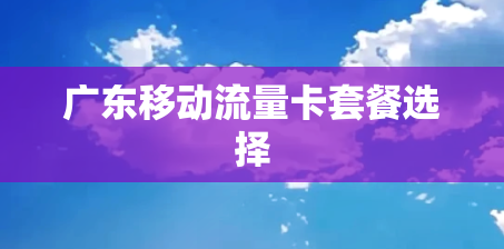 广东移动流量卡套餐选择