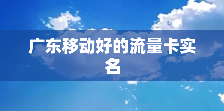 广东移动好的流量卡实名