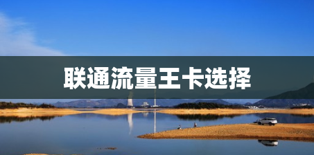 联通流量王卡选择