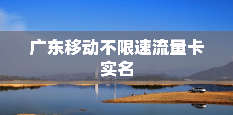 广东移动不限速流量卡实名