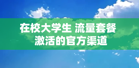 在校大学生 流量套餐  激活的官方渠道