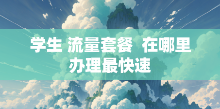 学生 流量套餐  在哪里办理最快速