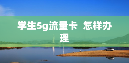 学生5g流量卡  怎样办理