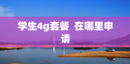 学生4g套餐  在哪里申请