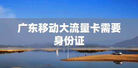 广东移动大流量卡需要身份证