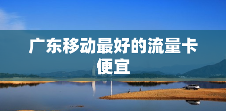 广东移动最好的流量卡便宜