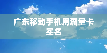 广东移动手机用流量卡实名